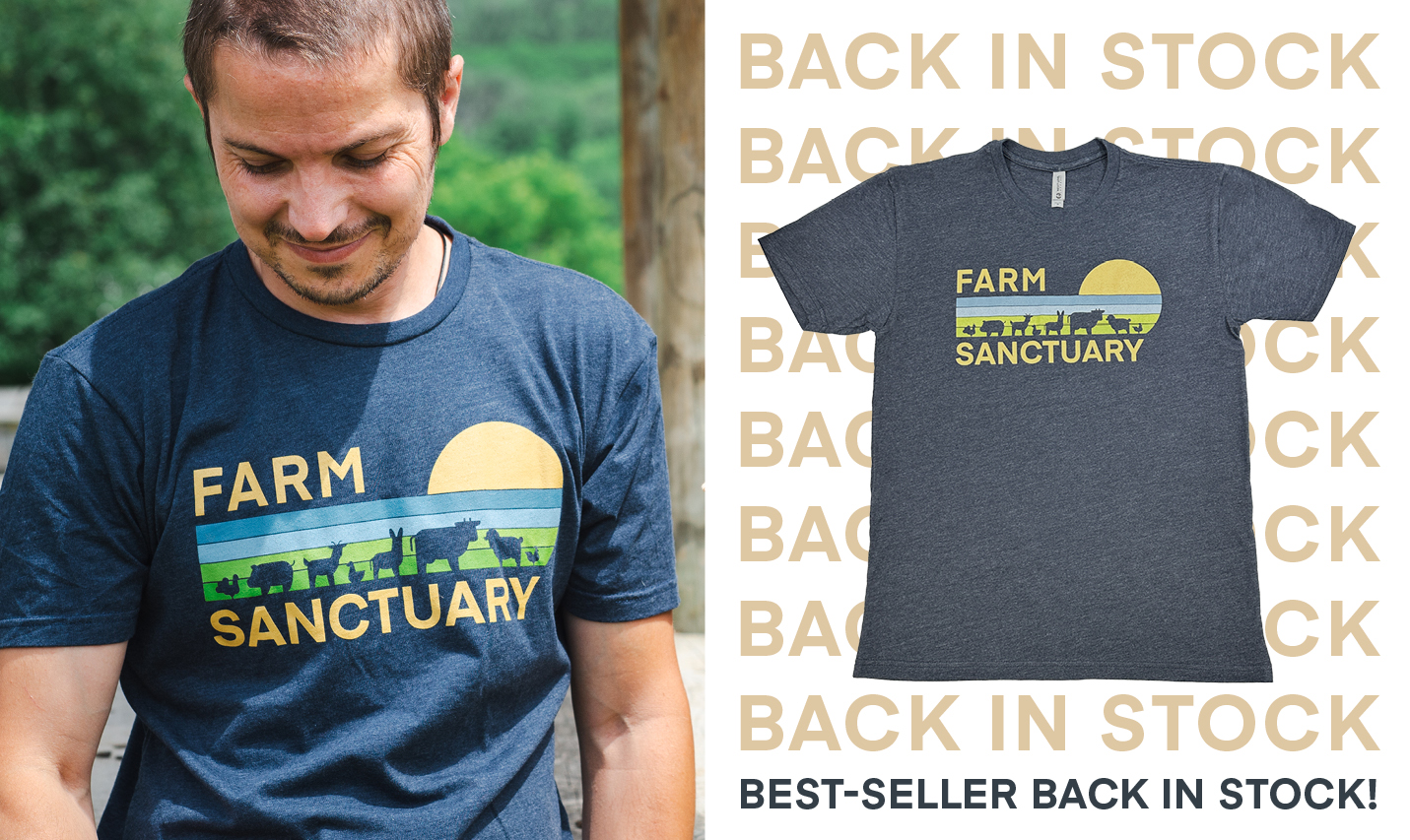 Our best selling Retro Tee is back in stock!