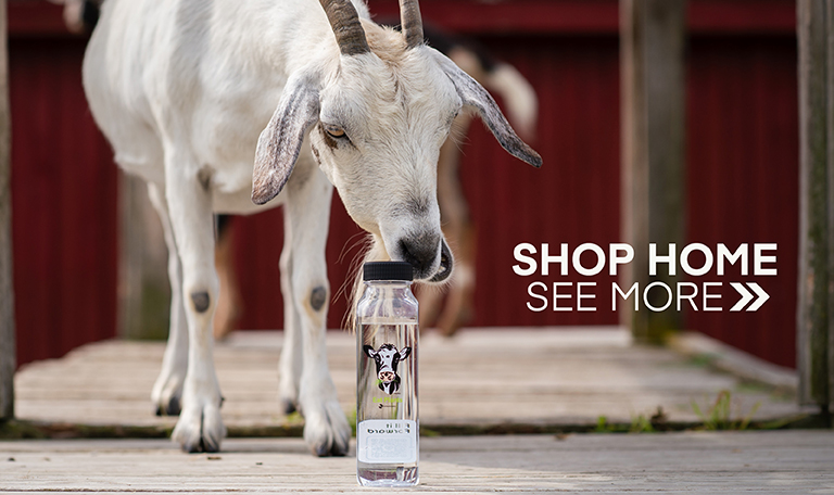 A water bottle featuring a drawing of Pietro steer and a goat nibbling on the lid. Click to shop Home Goods.