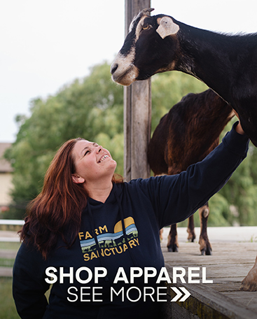 Woman wearing our retro Farm Sanctuary hoodie. Click to go to all apparel.