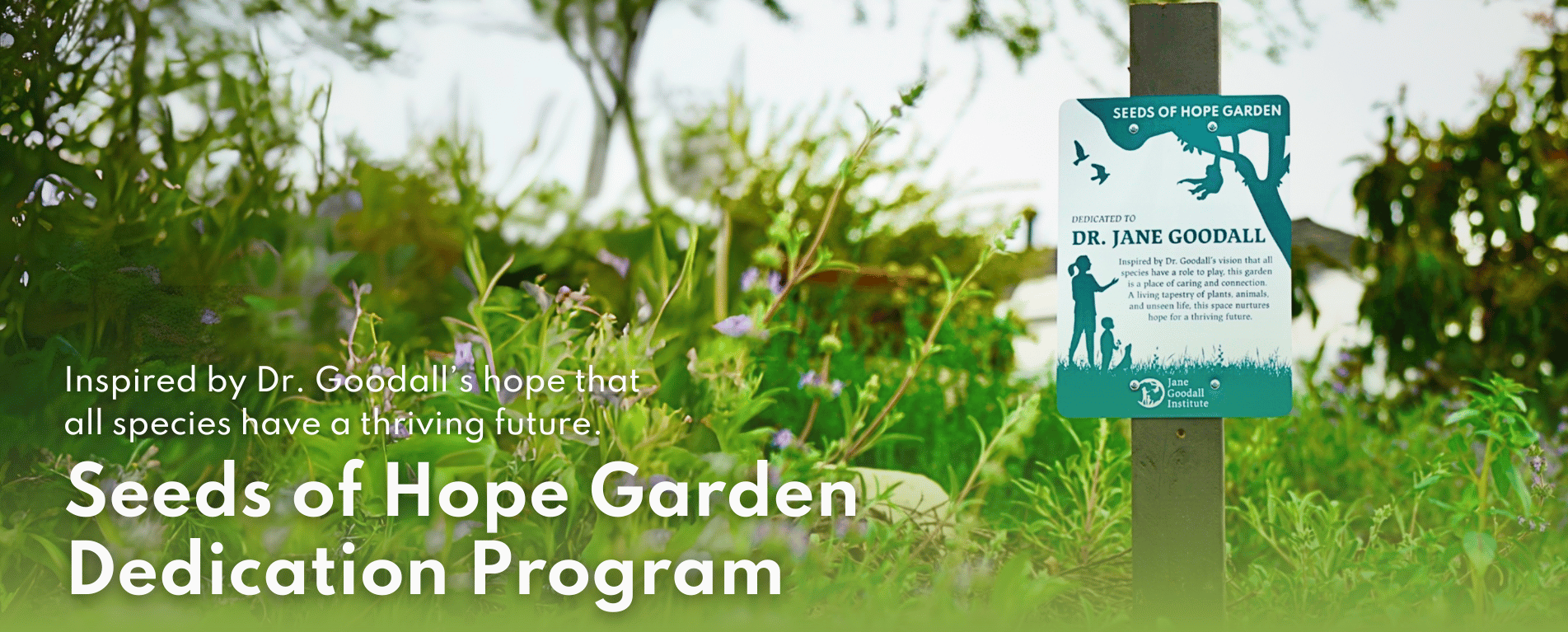Inspired by Dr. Goodall's hope that all species have a thriving future. Seeds of Hope Garden Dedication Program.