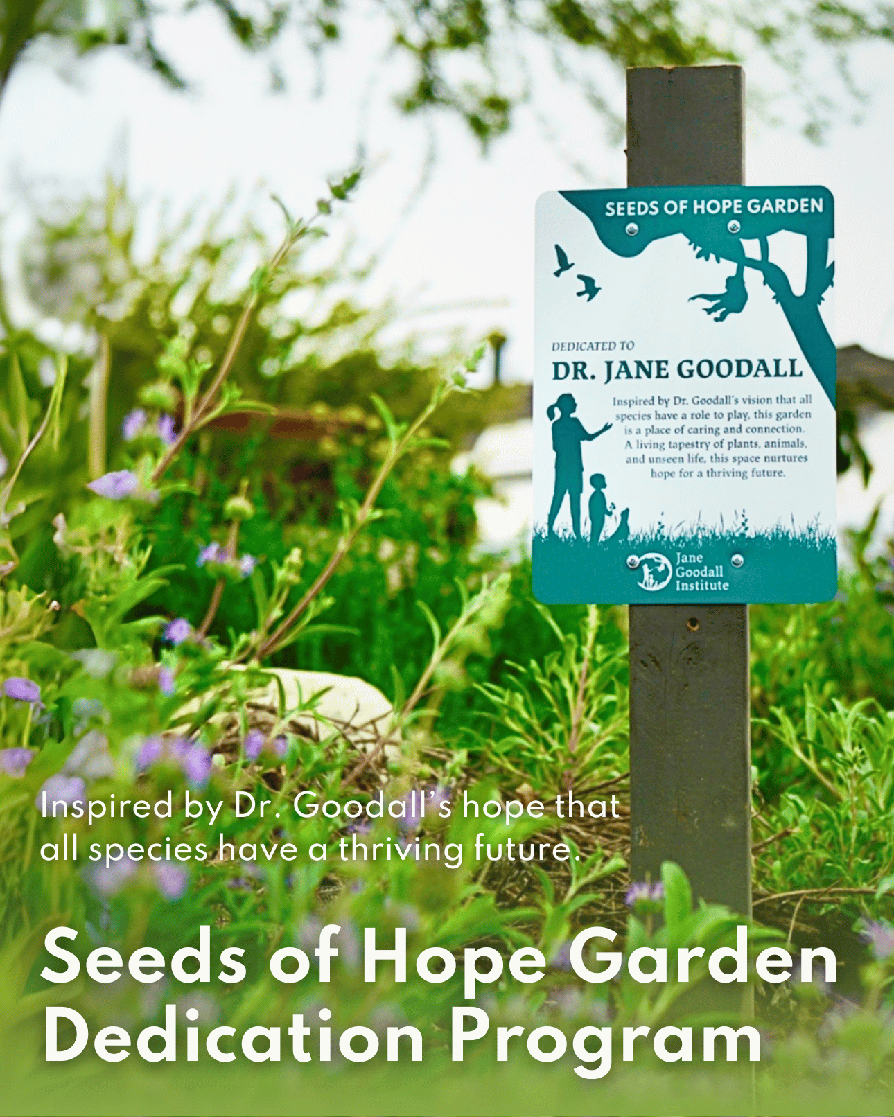 Inspired by Dr. Goodall's hope that all species have a thriving future. Seeds of Hope Garden Dedication Program.