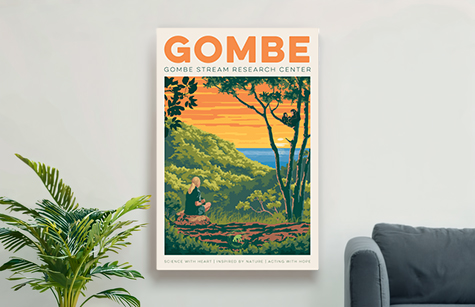 Shop our Vintage Gombe Stream Research Center Collection