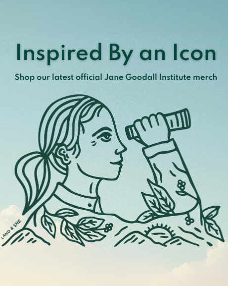 Be Like Jane. Inspired by an icon. Shop our latest official Jane Goodall Institute merch.