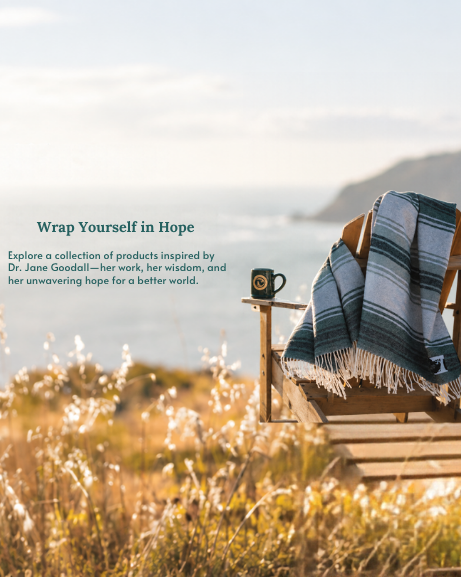 Wrap yourself in hope. Shop our favorite fall finds.